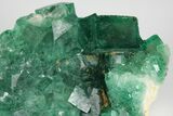 Green, Fluorescent, Cubic Fluorite Crystals - Madagascar #183887-3